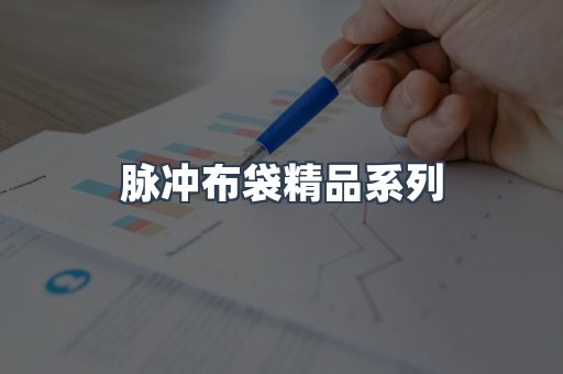 脉冲布袋精品系列